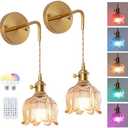 JERANDO Vintage Battery Operated Wall Sconce Set of 2, Amber Glass Lampshade Wireless Rechargeable Battery Powered Wall Light, RGB Wall Sconce Fixtures for Bedroom, Living Room