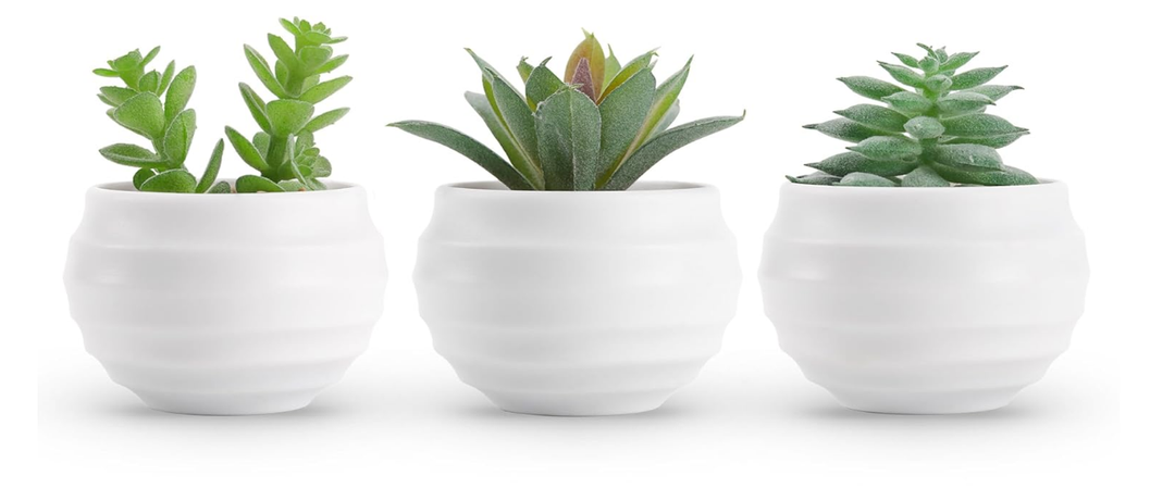 Der Rose Set of 4 Succulent Plants Artificial in Pots Small Fake Plants for Bedroom Aesthetic Living Room Shelf Bathroom Decor Office Desk Accessories