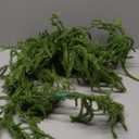 Realistic Artificial Pine Needle Garland for Christmas Decor Faux Greenery Mantle Ornament for Holiday Home Decoration and Photography Prop