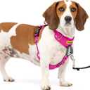 PetSafe Easy Walk Comfort No-Pull Dog Harness - Better Walk Training Harness - Full Body Padded Design - Durable Fabric - 5 Point Adjustable Fit - Everyday Leash Training - Pink - XS