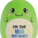 Big Brother Dinosaur Stuffed Animals: 9-Inch Cute Green Dinosaur Plush Toys, Im The Big Brother Plushie Pillows, New Sibling Gifts for Boys Baby Shower Present