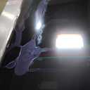 TCL 55-Inch Class S5 UHD 4K LED Smart TV with Fire TV (55S551F, 2024 Model), Dolby Vision, HDR PRO+, Dolby Atmos, Alexa Built-in with Voice Remote, Apple AirPlay 2 Compatibility, Streaming Television