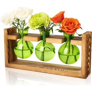 XXXFLOWER 3 Bulb Glass Propagation Station with Wooden Stand, Propagation Vase Propagated Plant Holders Tabletop Planter, Gardening Hydroponics Gift Home Office Indoor Decor (Green)