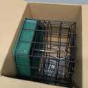 Kingsyard Squirrel Proof Platform Bird Feeders for Outdoor Hanging, 10" Wide Metal Caged Bird Feeder for Small Wildbirds Finches, Recycled Plastic Feeding Platform with Metal Seed Tray, Green