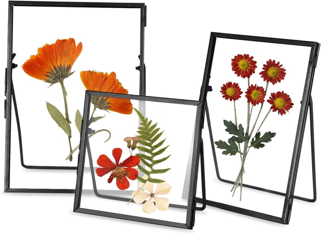 Glass Frame for Pressed Flowers Handmade, Double Glass Floating Picture Frame Set, Brass Photo Frame, Standing Frame Set, Small Picture Frame, Gifts for Family, 44", 46", 57", Black