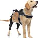 LISPOO Dog Knee Brace for ACL/CCL Injuries, Torn Ligament , Luxating Patella - Rear Leg Support,  Pain Relief, Joint Warmth, Black,(L),(Both Legs)