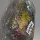 Layhit 12 Pack Boho Dried Flower Bouquet Mini Wedding Handmade Dry Flowers Decor for Vase Crafts DIY Photo Boutonniere for Men Floral Plant for Bridesmaid Gift Birthday Decor (Bright)