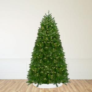 Northlight Pre-Lit Full Northern Pine Artificial Commercial Christmas Tree - 14' - Clear Lights Northlight Pre-Lit Full Northern Pine Artificial Commercial Christmas Tree - 14' - Clear Lights