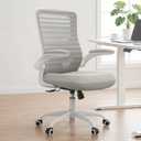 Office Chair for Long Hours & Back Pain Relief 4" Molded Foam Cushion, Padded Lumbar Support, and Padded Flip-up Armrests, Ideal for Office or Study, Light Gray