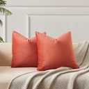 JUSPURBET 22x22 Velvet Pillow Covers Set of 2 Decorative Throw Pillow Covers for Couch Sofa Bed Soft Cushion Covers Cases with Hidden Zipper for Living Room Home Decor Apricot