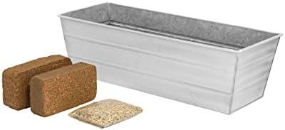 Achla Designs Bloom Box Garden Growing Kit, Medium White