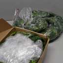 9ft Christmas Cedar Garland with Soft Thickness Pine, Artificial Green Faux Cedar Pine Garland for Mantle Fireplace Indoor Outdoor Holiday Party Home Decoration2 Pcs