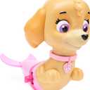 Swimways Paw Patrol Skye Floatin' Figures, Swimming Pool Accessories & Kids Pool Toys, Paw Patrol Party Supplies & Water Toys for Kids Aged 3 & Up