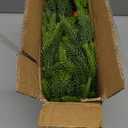 6FT Norfolk Pine Garland Christmas Artificial Greenery with Red Berries Cones, Pine Tree Decor for Mantel Fireplace Stair Rail Doorway Table, Indoor Outdoor Winter Christmas Decorations