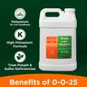 Simple Lawn Solutions - High Potassium Lawn Food Liquid Fertilizer 0-0-25 - Concentrated Spray - Turf Grass Vigor and Plant Hardiness - Summer and Fall - Any Grass Type (2.5 Gallon) (EXP 12/31/33)