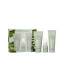 Origins Peace of Mind On-the-Spot Relief | Relaxing Aromatherapy Experience With Eucalyptus, Peppermint & Basil Essential Oils | Wellness Gift