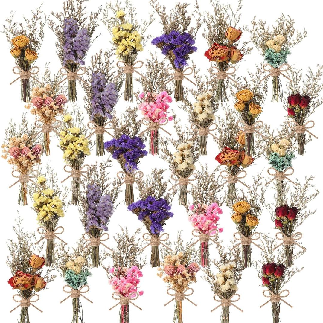 Riceshoot 30 Pcs Dried Flower Bouquets Mini Dried Flowers Bulk with Stem Natural Real Flower Bundles Forget Me Not Boho Floral Arrangement for Crafts Vase Dly Wedding Decor Bridesmaid Gift, 10 Styles
