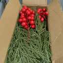 90 PCS Artificial Pine Branches Cedar Stems with Red Holly Berries - Perfect Faux Pine Greenery Stems for Christmas Tree, Wreath & Garland DIY Crafts Holiday Home Decoration