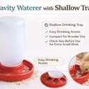 Baby Chick Feeder, Waste Free Chicken Feeder Jar, Duckling Feeder for Pigeon, Birds & Small Flock Feeding, 1 Quart Poultry Feeder with 8 Feeding Holes.