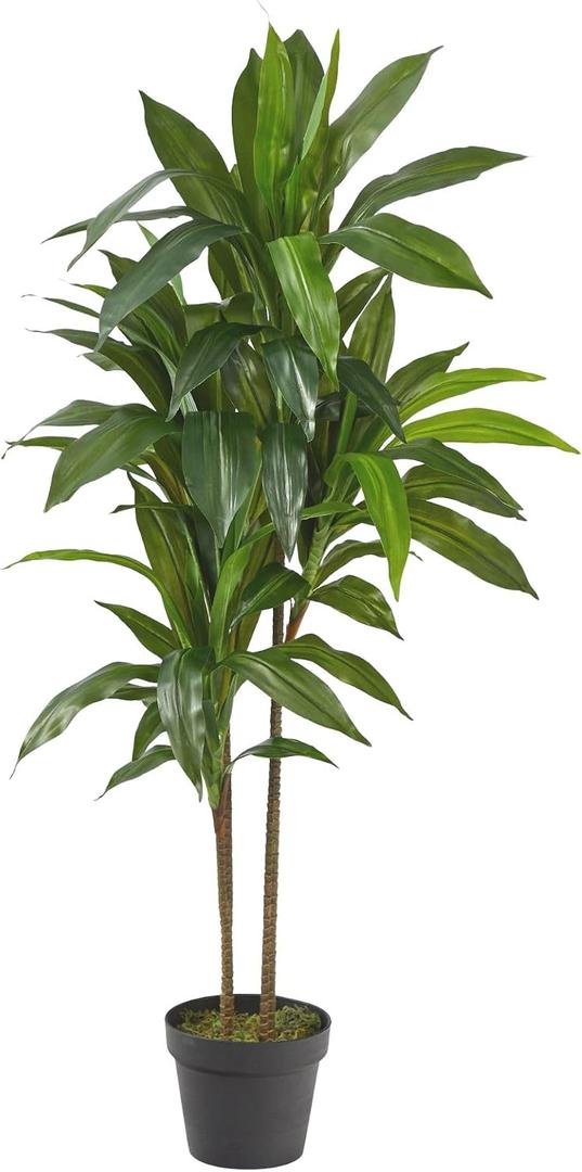 Nearly Natural 48in Artificial Dracaena Plant with Real Touch Leaves and Multi Tonal Trunks, Large Indoor Faux Tree for Living Room and Office Decor