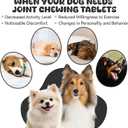 2 x Joint Chews for Dogs, Rich in glucosamine, chondroitin, Omega-3, and Other Elements, a Hip Joint Supplement to Protect Your Dog's Joint Health, Chicken Flavor, 30 Soft Chewables.