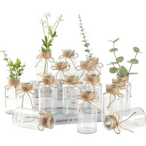 16 Glass Bud Vases 5 H, Mason Jars Transparent Centerpiece Vases with Hemp Rope for Weddings Parties Farmhouse Decor