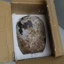 Denique Rustic Vase for Home Decor, Farmhouse Terracotta Vases, Large Ceramic Vase for Living Room Decor, Black Pottery Vase Large Clay Vase, Rustic Farmhouse Tabletop Decor(B-22cm) (B-8.86inch Height)