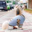 ABRRLO Small Dog Sweaters Cute Bear Dog Cardigans Clothes for Small  Dogs Boy Girl Puppy Cat Knitting Cardigan Outfits Dogs Winter Coats Warm Pet Doggy Clothes Soft Knitwear Apparel (Blue,S)
