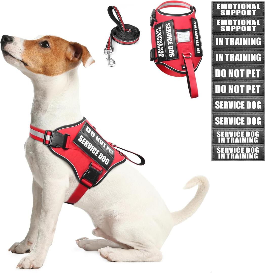 Service Dog Harness and Leash Set, Training Dog Vest with 10 Dog Patches, Emotional Support Therapy Dog Vest Harness for Small Medium Large and Extra Large Dogs (Red, S)