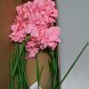 Pink Carnations Artificial Flowers 15PCS Carnations Flowers Silk Flowers 21.25in Fake Flowers for Wedding Home Table Centerpieces Floral Arrangements(Hot Pink)