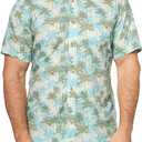 Eddie Bauer Mens Eddie Bauer Printed Baja Shirt (2X, Lceladon)
