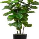 Artificial Fiddle Leaf Fig Tree 5FT - Faux Fig Tree with Black Diamond Planter - Tall Fake Floor Plant Potted - Artificial Silk Tree for Home Office Living Room Decor Indoor