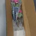 2 Pack Artificial Bougainvillea Tree, 24" Faux Silk Floral Tree Bougainvillea Plant with Flowers in Plastic Pot for Home Office Garden Indoor Outdoor Decor,White Pot