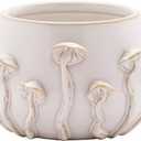 Napco Imports 3D Wild Mushroom Motif 3.25 x 3.75 Inch Distressed Ivory Ceramic Indoor Planter Pot for Small Plants and Succulents
