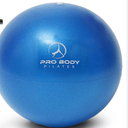 ProBody Pilates Small Exercise Ball 9 Inch Workout Ball for Stability, Barre, Yoga, Core & Physical Therapy, Home Gym & Office Use