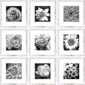 Yaetm 12x12 Picture Frame with Mat for 8x8 Set of 9, Square 12 x 12 Frames, White Gallery Wall Frame 12x12 for Wall Hanging (9 pack, Rustic White)