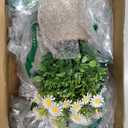 4 Pack Small Fake Plants, Artificial Eucalyptus Leaves with Flowers, Lavender & Daisy with Gray Paper Pulp Pots, Small Faux Potted Plant with Flowers for Home Decor, Indoor&Outdoor Decoration
