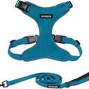 Best Pet Supplies Voyager Step-in Lock Pet Harness w Reflective Pet Leash Combo Set with Neoprene Handle 5ft - Supports Small, Medium and Large Breed Puppies/Cats - Turquoise Set, XS