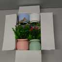 Der Rose 4 Pack Fake Flowers Small Artificial Faux Plants Indoor Summer Spring Decor for Centerpiece Table Decorations Home Office Desk Wedding Decor