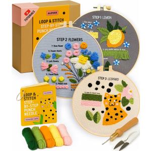 3-Step Punch Needle Kit for Beginners  Learn 14 Stitches with DIY Kit, Needlepoint Instructions & Practice Patterns, Embroidery Art & Craft Project for Adults with Video Tutorial