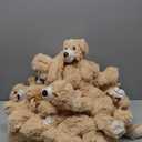 12 Pack Teddy Bears Bulk 13.5 inch Small Teddy Bear Stuffed Bears for Baby Shower Centerpiece Decorations for Christmas Valentine's Mother's Day for Kids or Adults (12 Light Brown)