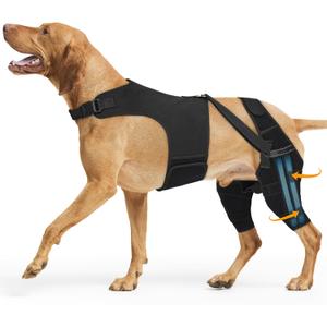 Dog Knee Brace for Torn Acl Hind Leg, Adjustable for Back Leg with 4 Stabilizers, Hip Support to Reduces Pain, Ligament Injuries & Luxating Patella for Small Medium Large Dogs,(Black-XL)