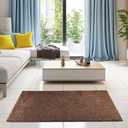 Bright House Solid Color Area Rugs Brown - 3' x 5' Rectangle, Indoor, Stain & Fade Resistant, Perfect for Living Room, Bedroom, Dining Room, Entryway, Doorway, Pet & Kids Friendly Rug, Wedding