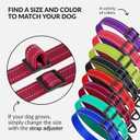 CollarDirect Reflective Martingale Dog Collar Nylon Heavy Duty Training Pet Collars for Small Medium Large Dogs Puppy Black Blue Mint Green Red Pink Purple Dark Red (L, Neck Size 16"-24", Dark Red)