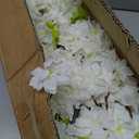 Indoor Cherry Blossoms Tree White Artificial Cherry Blossom Tree 6FT Faux Bedroom Trees for Home Christmas New Year Decor