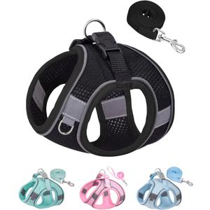 Solmoony No Pull Dog Harness - Step-in Puppy Harness and Leash Set, Mesh, Black, XS