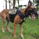 ICEFANG GN3 Tactical Dog Harness with 6X Buckle,Dog Molle Vest with Handle,3/4 Body Coverage,Hook and Loop Panel for ID Patch,No Pulling Front Clip (L (28"-35" Girth), Black)