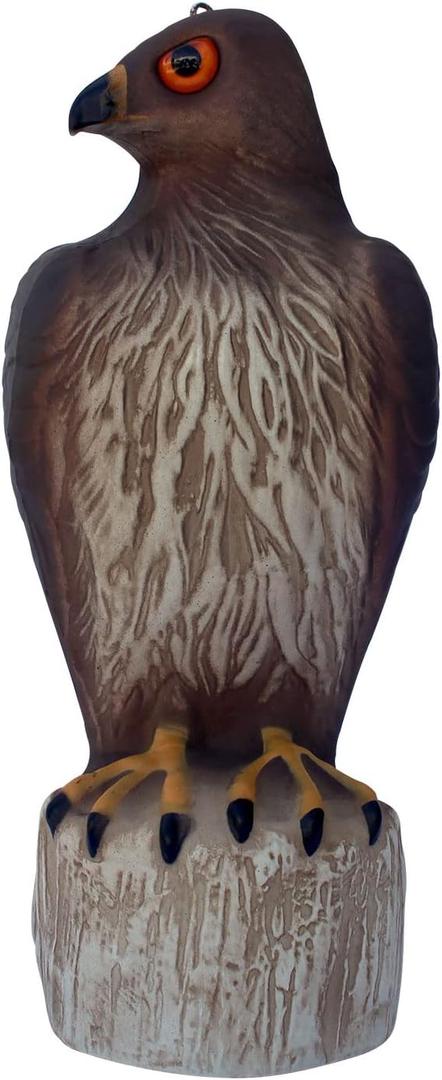 Bird B Gone Plastic Hawk Decoy to Scare Birds Away, Bird Deterrent Devices Outdoor, 16 Inch Fake Hawk Statue, Natural Bird Scarecrow for Garden (1Pack)