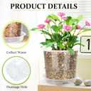 40 Pack 4/5/6/7 Inch Clear Nursery Pots with Drainage and Saucer, Clear Plastic Planter Pots for Plants, Flexible Seed Starting Pots for Succulents, Small Herbs, Annual Flowers