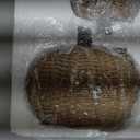 Fuutreo 2 Pack 6.9in 4.3in Pumpkin Fall Decor Resin Woven Pumpkins Figurine
